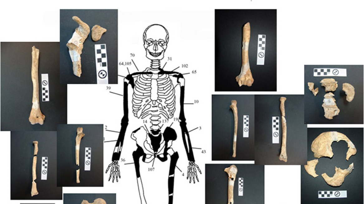Αμφίπολη: Σε πέντε άτομα ανήκουν τα 550 οστά που βρέθηκαν στον τάφο 